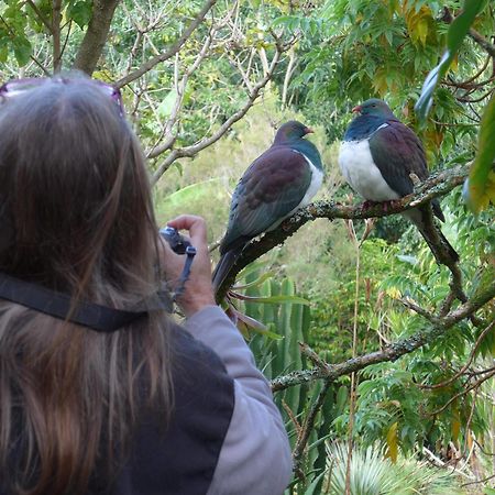 Wharepuke Subtropical Accommodation Kerikeri Bagian luar foto