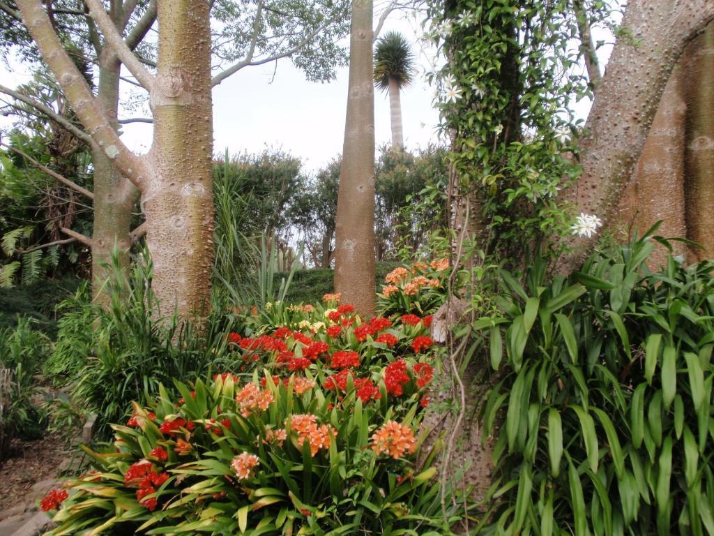 Wharepuke Subtropical Accommodation Kerikeri Bagian luar foto