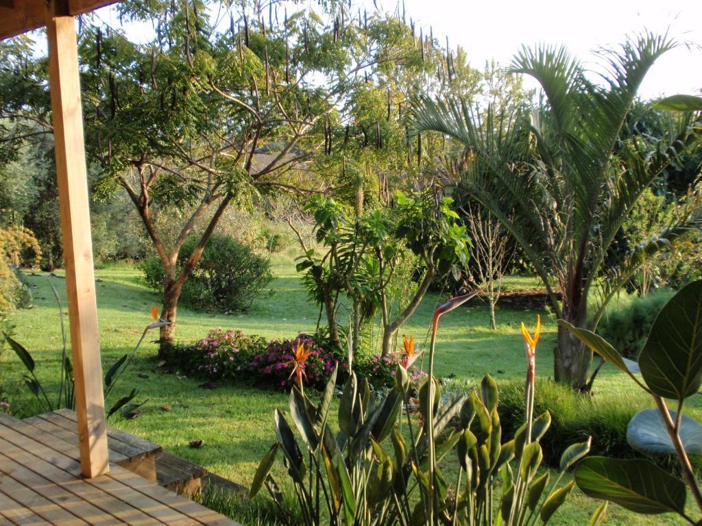 Wharepuke Subtropical Accommodation Kerikeri Ruang foto