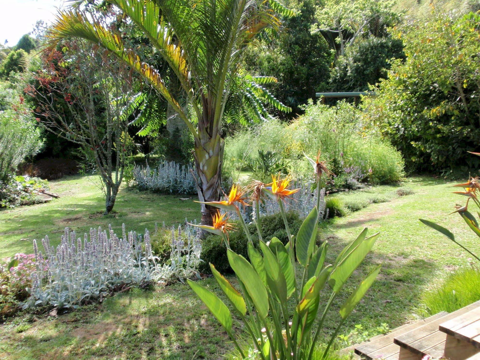 Wharepuke Subtropical Accommodation Kerikeri Bagian luar foto