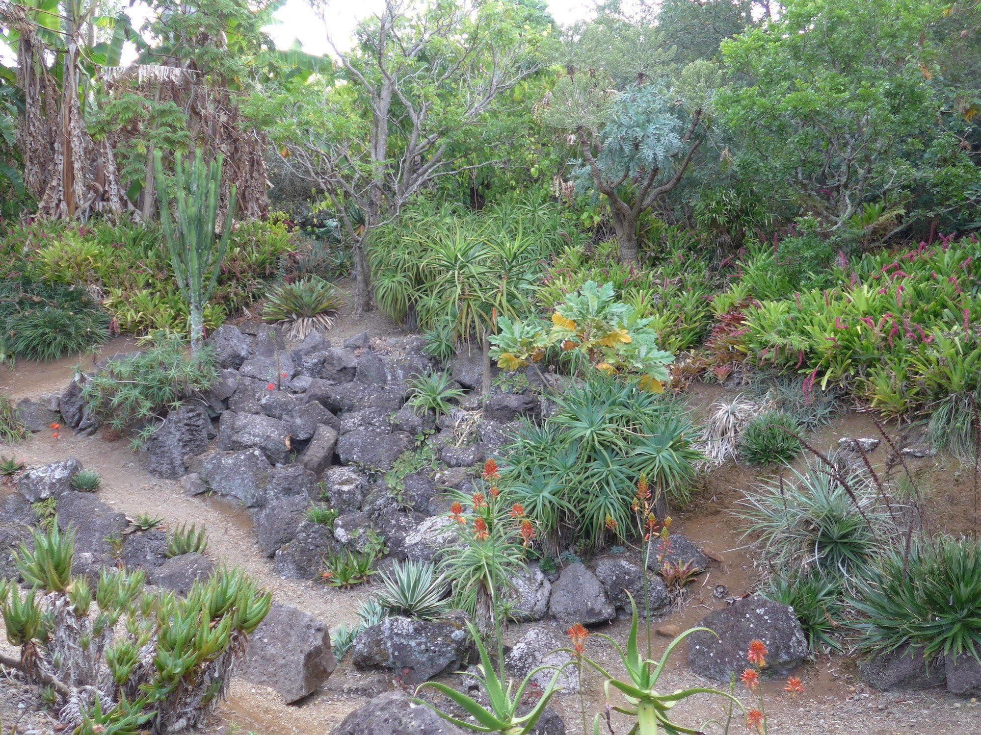 Wharepuke Subtropical Accommodation Kerikeri Bagian luar foto