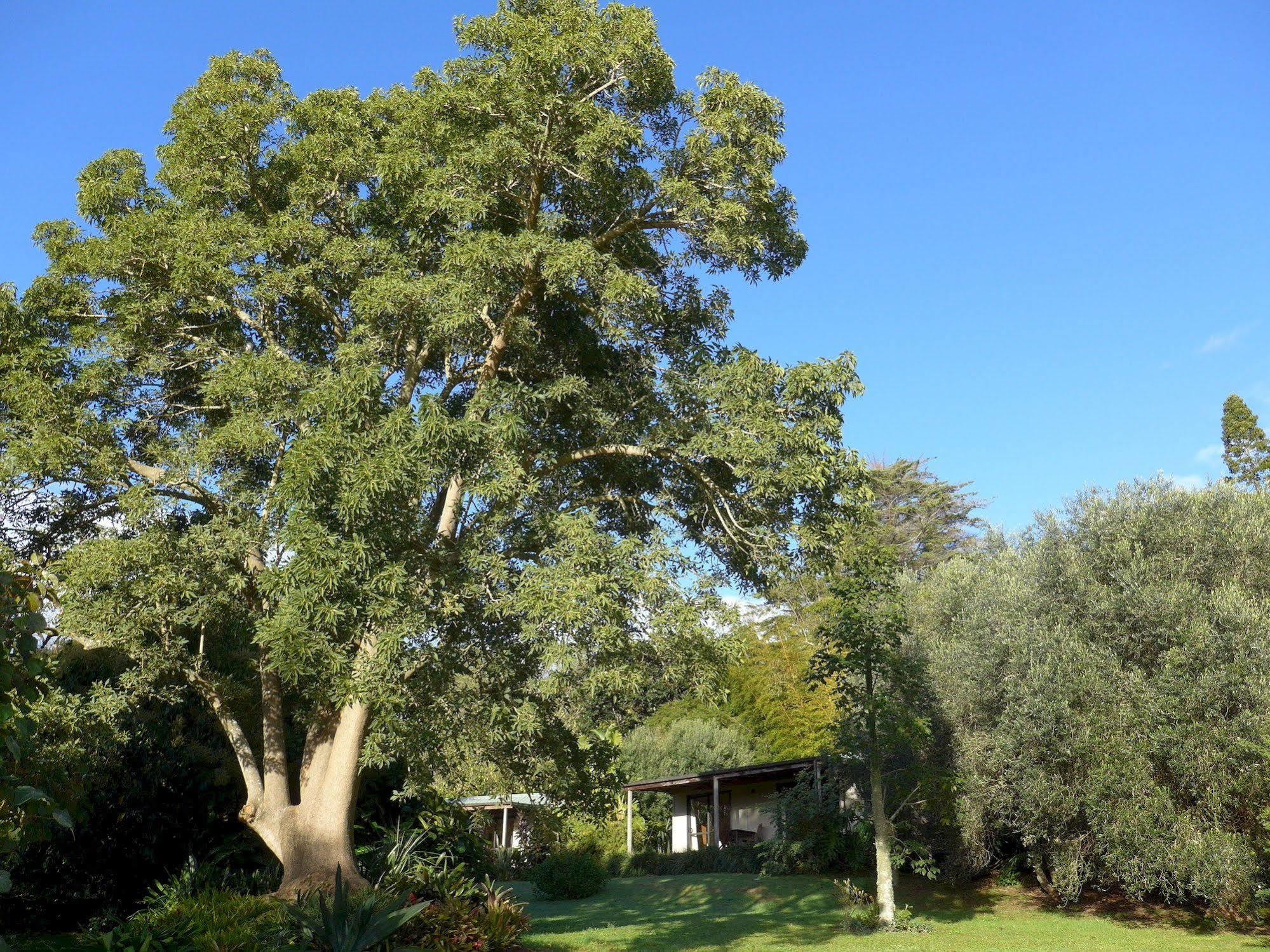 Wharepuke Subtropical Accommodation Kerikeri Bagian luar foto