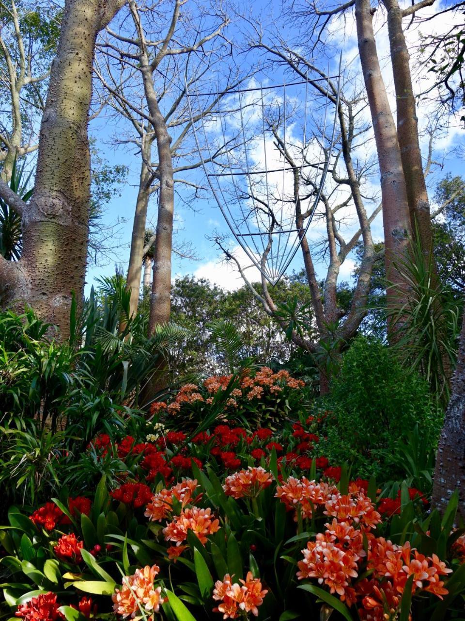 Wharepuke Subtropical Accommodation Kerikeri Bagian luar foto
