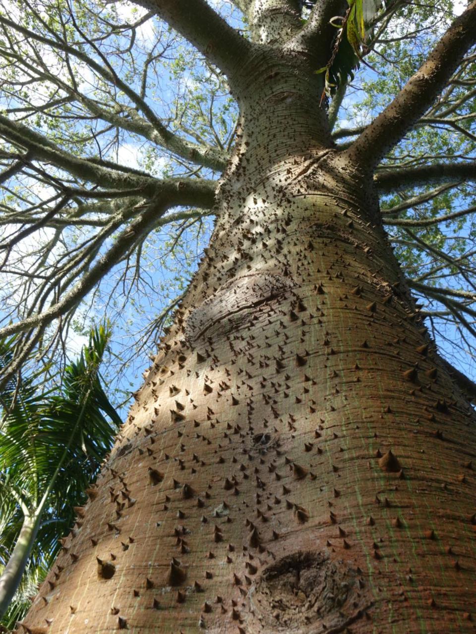 Wharepuke Subtropical Accommodation Kerikeri Bagian luar foto